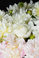 bouquet of pink and white peonies