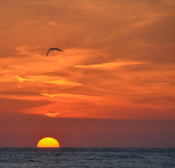 Beautiful sunset on the Gulf of Mexico, Florida!