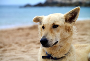 Rural lifestyle in Thailand