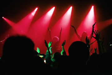 audience at a concert at a nightclub