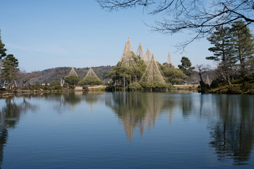 兼六園の雪吊り