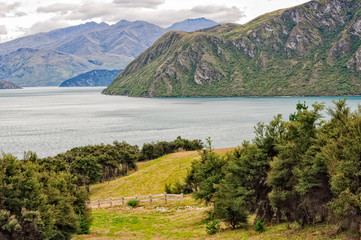 Paddock at a quiet corner of Lake Wanaka - Otago, New Zealand