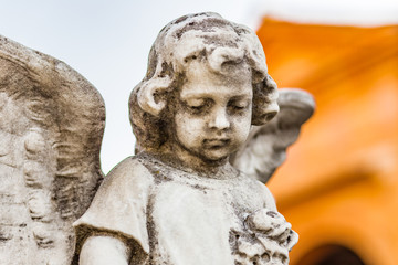 Fototapeta premium young angel looking down