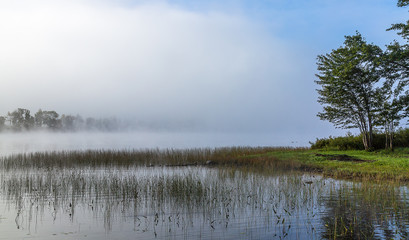 Beautiful summer morning