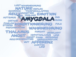 Amygdala