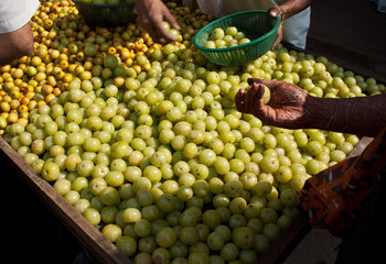 Amla (Indian gooseberry) and Bor (Indian plums) sold on a hand cart in India.