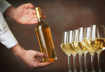 Waiter serving wine on color background