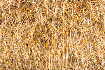 Haystack, sheaf of dry grass, hay, straw, close-up, texture, abstract background