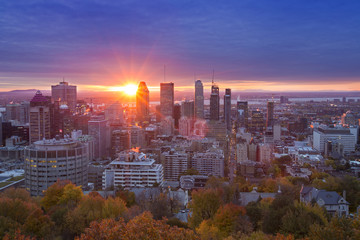 Fototapeta premium Montreal autumn sunshine