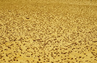 The Pinnacles Desert in Nambung National Park, north of Perth, Western Australia