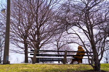 Woman reading and lounging on a park bench in Chicago south side during frigid winter day.