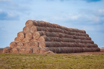 Big stack of organic roll up hay bales on the field