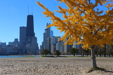 Fototapeta premium Chicago in Autumn