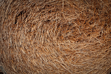 Close-up of a round hay bale