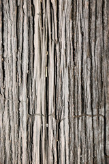 Old wood pattern