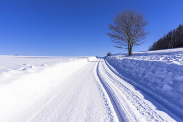 Obraz premium 道東地方の雪道