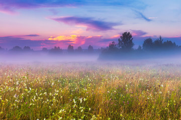 Panele Szklane Podświetlane  Dziki, mglisty krajobraz łąki