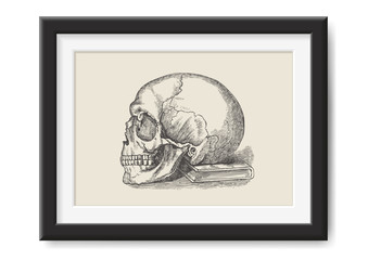retro vector illustrations series: vintage drawing of a skull lying on a book in a realistic picture frame mockup - symbol for science and medicine, anatomy