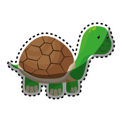 cute turtle pet isolated icon vector illustration design