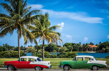 HDR - Amerikanische Oldtimer mit weissen Dach parken in der Nähe vom Strand unter Palmen in Varadero Kuba - Serie Kuba Reportage