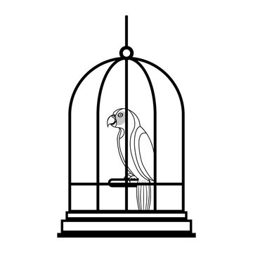 cute bird parrot in cage mascot vector illustration design