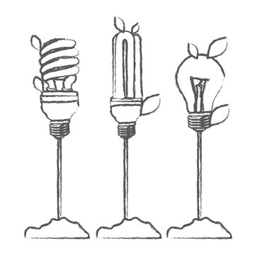 monochrome sketch with Incandescent and fluorescent bulbs with stem and leaves vector illustration