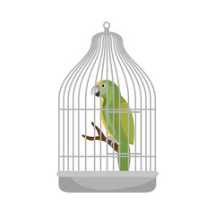 cute bird parrot in cage mascot vector illustration design © Gstudio