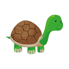 cute turtle pet isolated icon vector illustration design