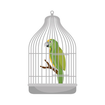 cute bird parrot in cage mascot vector illustration design
