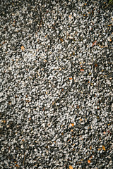 Dry leaf fell from their tree over gravel rock