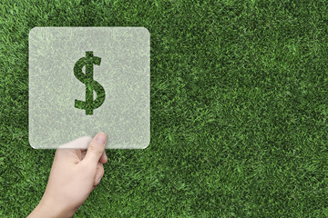 Dollar symbol message box with green grass background