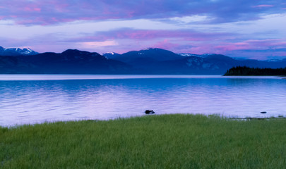 Calm evening landscape Lake Laberge Yukon Canada