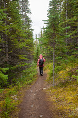 Hiking rainy autumn fall boreal forest taiga trail