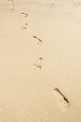 Fototapeta na wymiar Footprints in the sand.