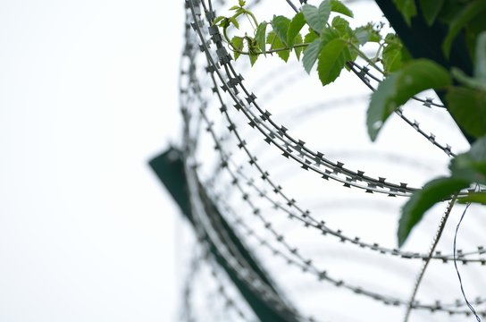 Barbed wire fencing around a prison