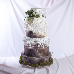 Wedding cake in the form of stump wood and bark