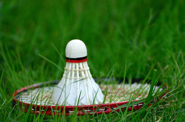 Badminton racket and shuttlecock on green grass