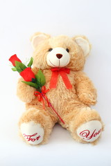 Brown teddy bears and red roses on a white background.