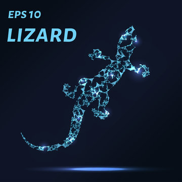 The lizard consists of points, lines and triangles. The polygon shape in the form of a silhouette of a lizard on a dark background. Vector illustration.