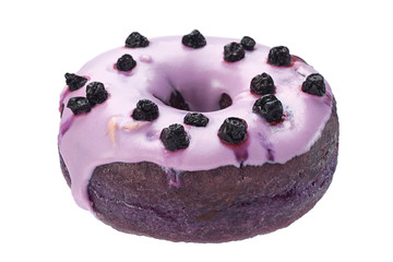 Blueberry donut sweet bakery