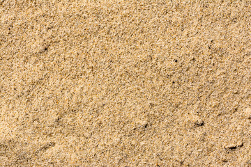 Beach Sand Texture