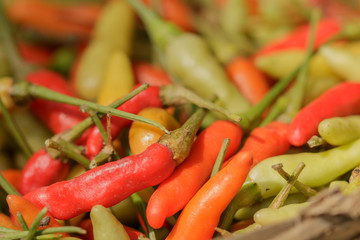 Chili, organic vegetable, for food graphic design background