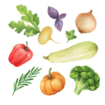 Watercolor set vegetables and herbs isolated on white background.