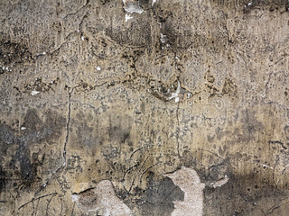 Old cracked and eroded plaster