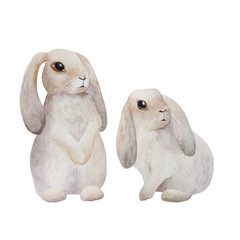 rabbit watercolor set