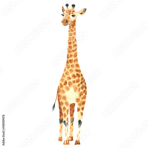 Download "watercolor baby giraffe" Stock image and royalty-free vector files on Fotolia.com - Pic 140589478