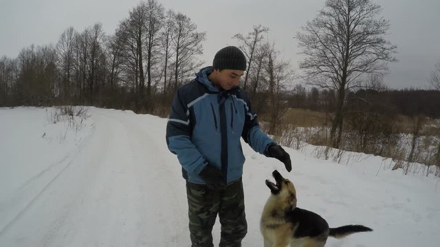 Sheep Dog Biting Playing With Owner