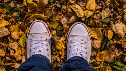 White sneakers on a background of yellow leaves in an autumn park.