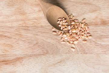Raw cleaned watermelon seeds on a wooden background with a spoon