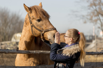Fototapeta premium Girl stroking a thoroughbred horse in the pen for paddock